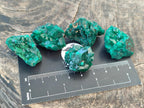 Natural Dioptase Specimens on Dolomite Matrix x 20 From Tantara Mine, Congo - Toprock Gemstones and Minerals 