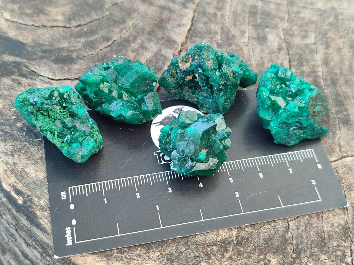 Natural Dioptase Specimens on Dolomite Matrix x 20 From Tantara Mine, Congo - Toprock Gemstones and Minerals 