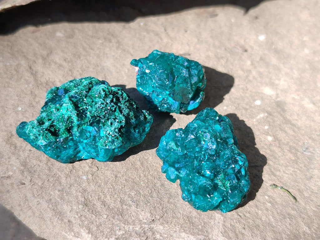Natural Dioptase Specimens on Dolomite Matrix x 20 From Tantara Mine, Congo - Toprock Gemstones and Minerals 