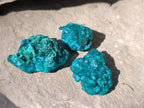 Natural Dioptase Specimens on Dolomite Matrix x 20 From Tantara Mine, Congo - Toprock Gemstones and Minerals 