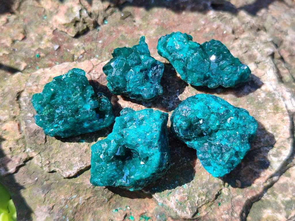 Natural Dioptase Specimens on Dolomite Matrix x 20 From Tantara Mine, Congo - Toprock Gemstones and Minerals 