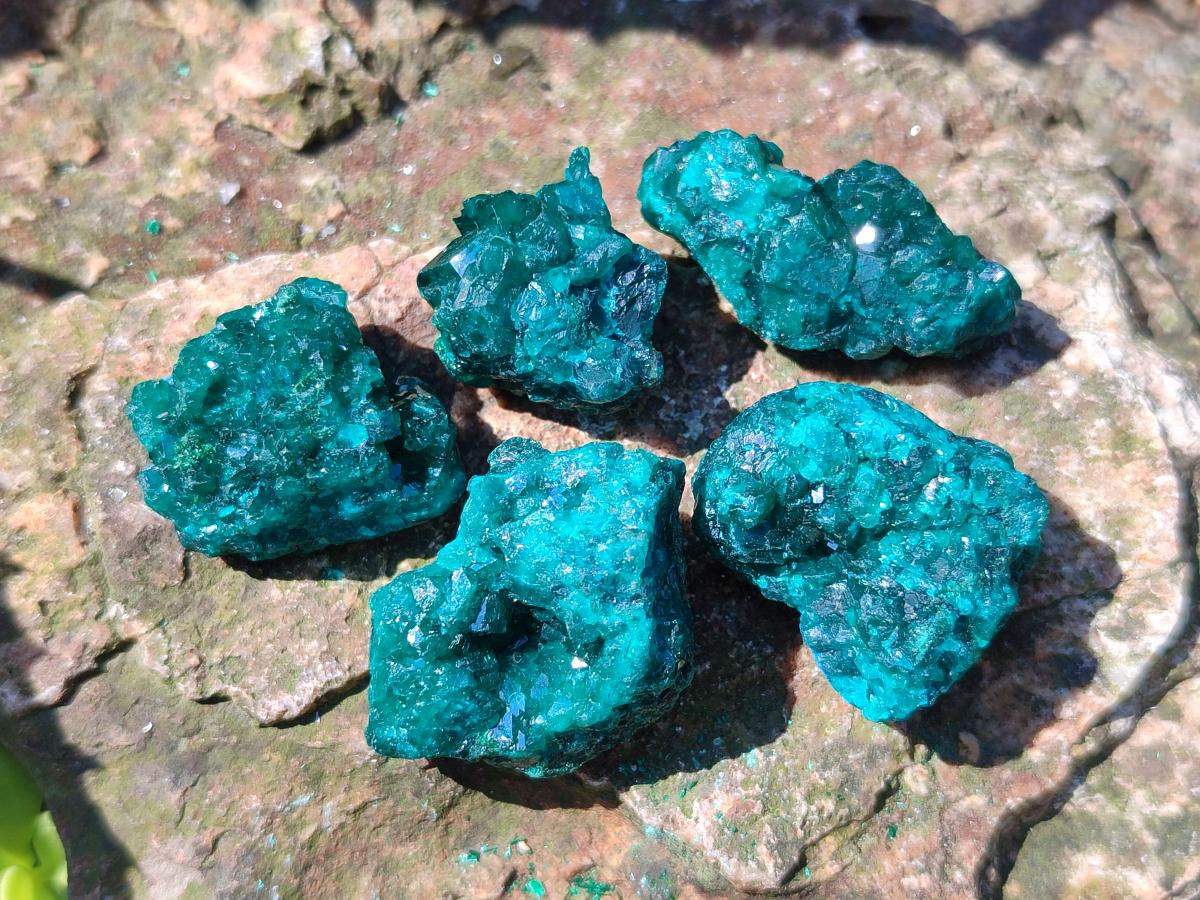 Natural Dioptase Specimens on Dolomite Matrix x 20 From Tantara Mine, Congo - Toprock Gemstones and Minerals 