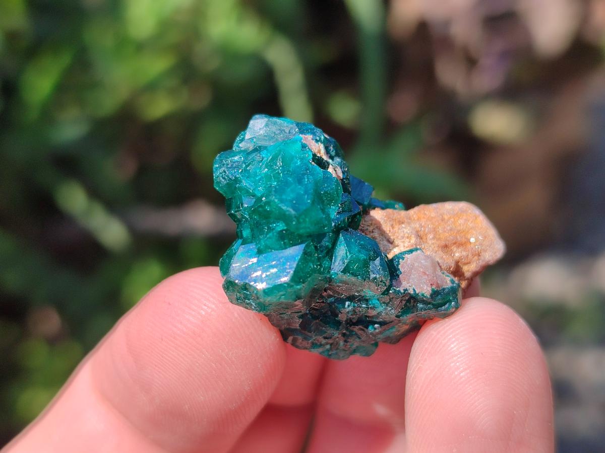 Natural Dioptase Specimens on Dolomite Matrix x 20 From Tantara Mine, Congo - Toprock Gemstones and Minerals 