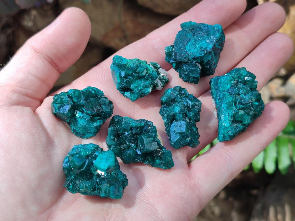 Natural Dioptase Specimens on Dolomite Matrix x 20 From Tantara Mine, Congo - Toprock Gemstones and Minerals 