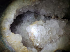 Natural XL Crystalline Elephant Foat Agate Geode x 1 From Maintirano, Madagascar - Toprock Gemstones and Minerals 
