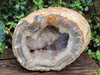 Natural XL Crystalline Elephant Foat Agate Geode x 1 From Maintirano, Madagascar - Toprock Gemstones and Minerals 