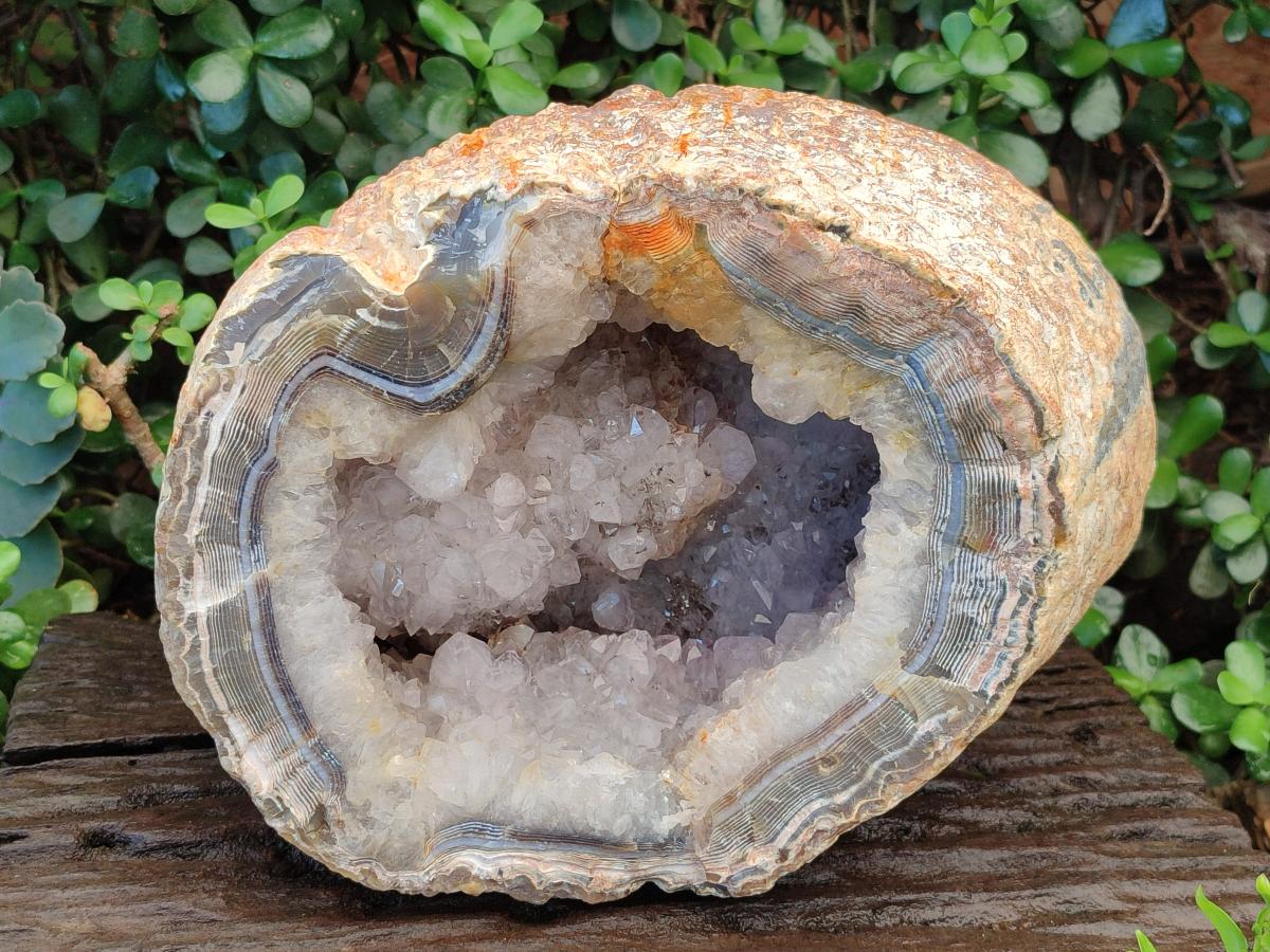 Natural XL Crystalline Elephant Foat Agate Geode x 1 From Maintirano, Madagascar - Toprock Gemstones and Minerals 