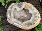 Natural XL Crystalline Elephant Foat Agate Geode x 1 From Maintirano, Madagascar - Toprock Gemstones and Minerals 