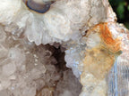 Natural XL Crystalline Elephant Foat Agate Geode x 1 From Maintirano, Madagascar - Toprock Gemstones and Minerals 