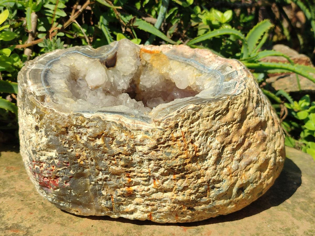 Natural XL Crystalline Elephant Foat Agate Geode x 1 From Maintirano, Madagascar - Toprock Gemstones and Minerals 