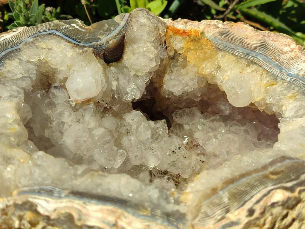 Natural XL Crystalline Elephant Foat Agate Geode x 1 From Maintirano, Madagascar - Toprock Gemstones and Minerals 