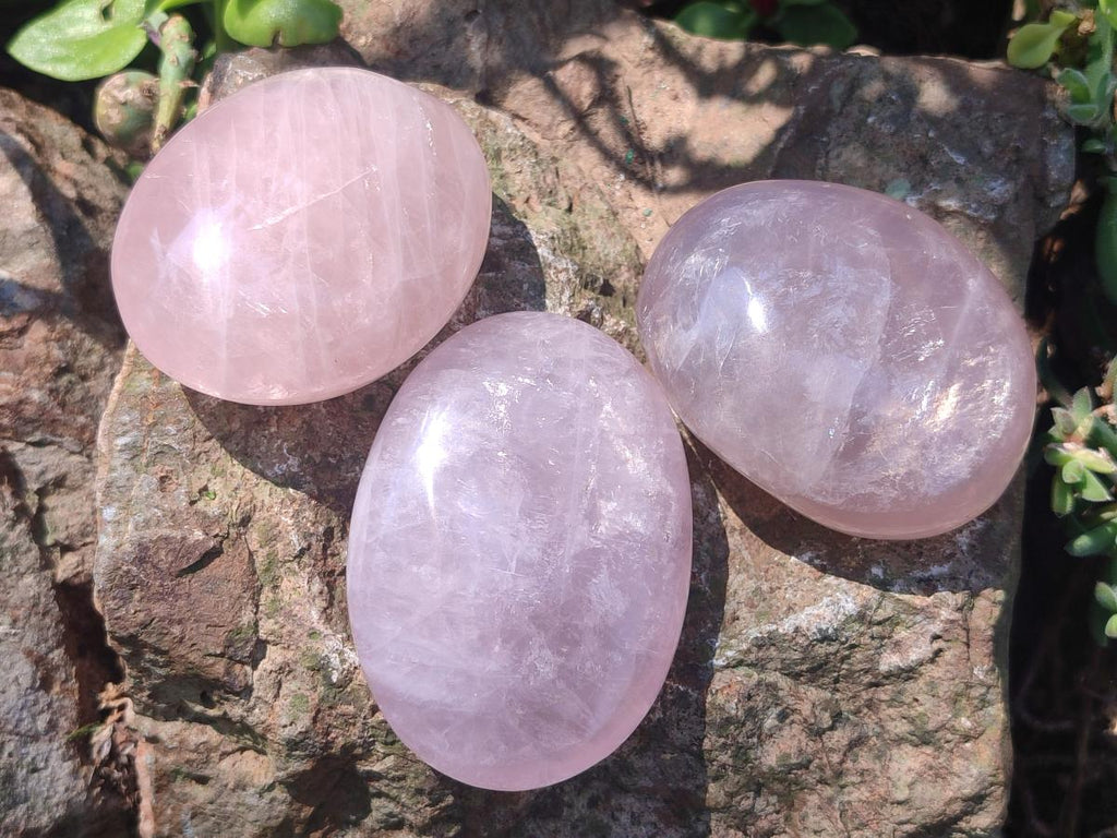 Polished Gemmy Rose Quartz Palm Stones x 24 From Madagascar - Toprock Gemstones and Minerals 