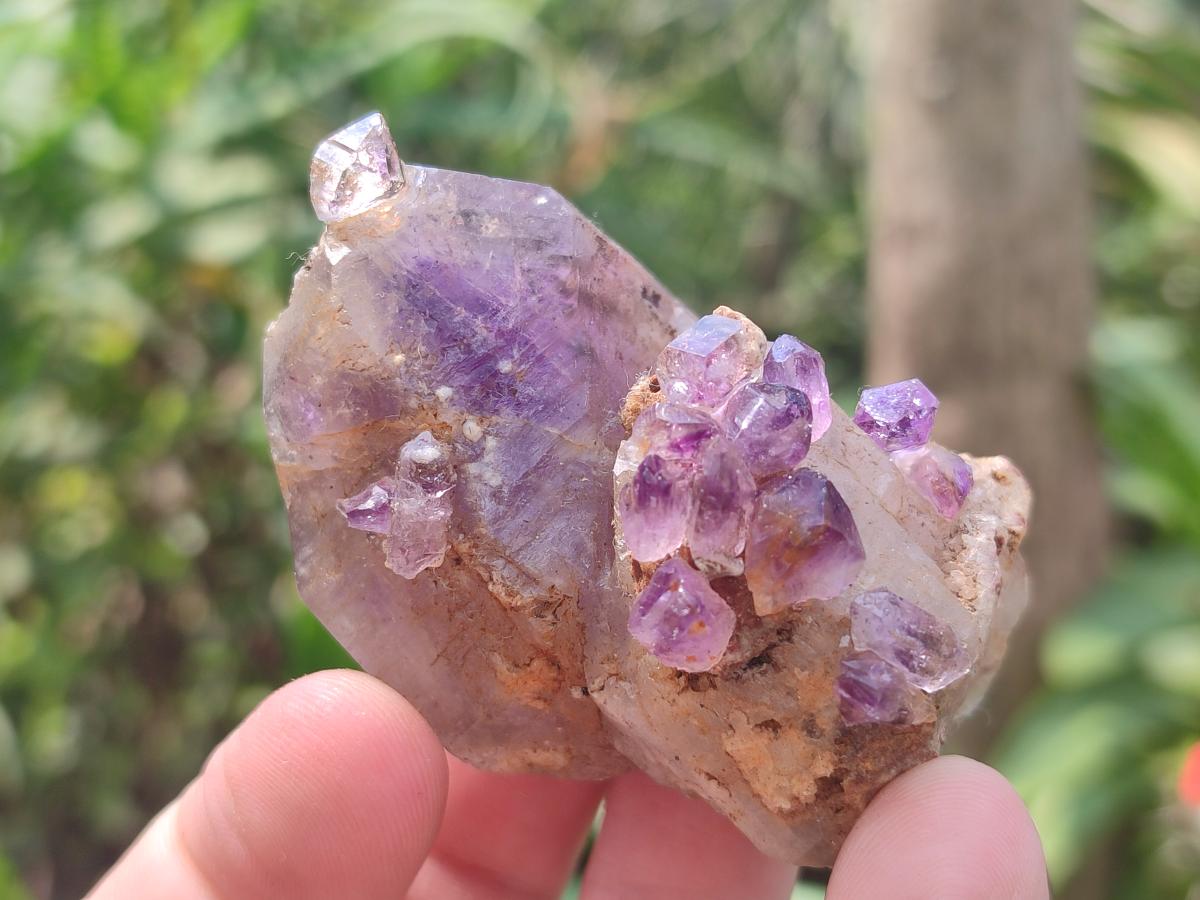 Hand Made Conglomerates Chiredzi Amethyst Crystals x 24 From South Africa - Toprock Gemstones and Minerals 