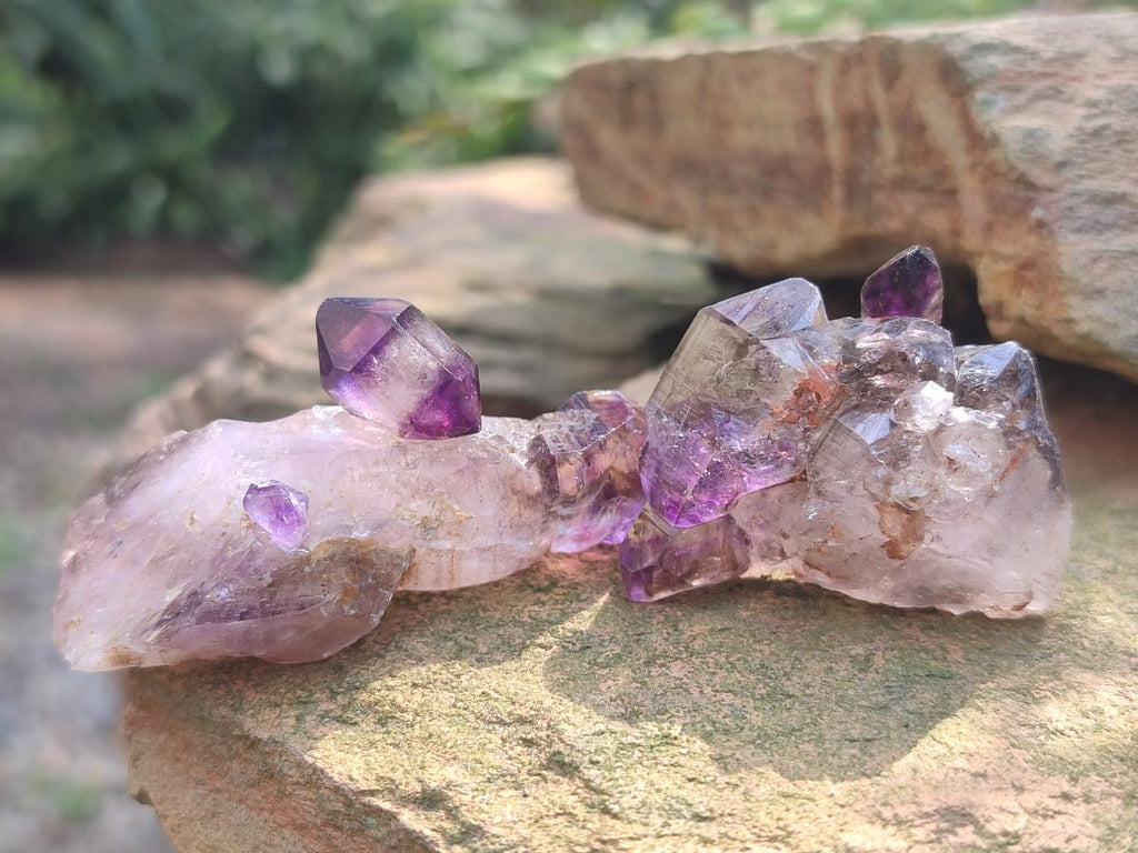 Hand Made Conglomerates Chiredzi Amethyst Crystals x 24 From South Africa - Toprock Gemstones and Minerals 
