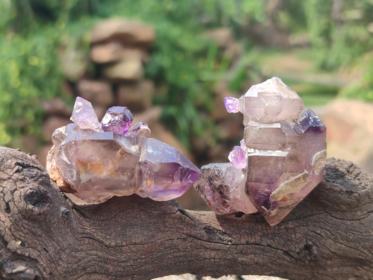 Hand Made Conglomerates Chiredzi Amethyst Crystals x 24 From South Africa - Toprock Gemstones and Minerals 