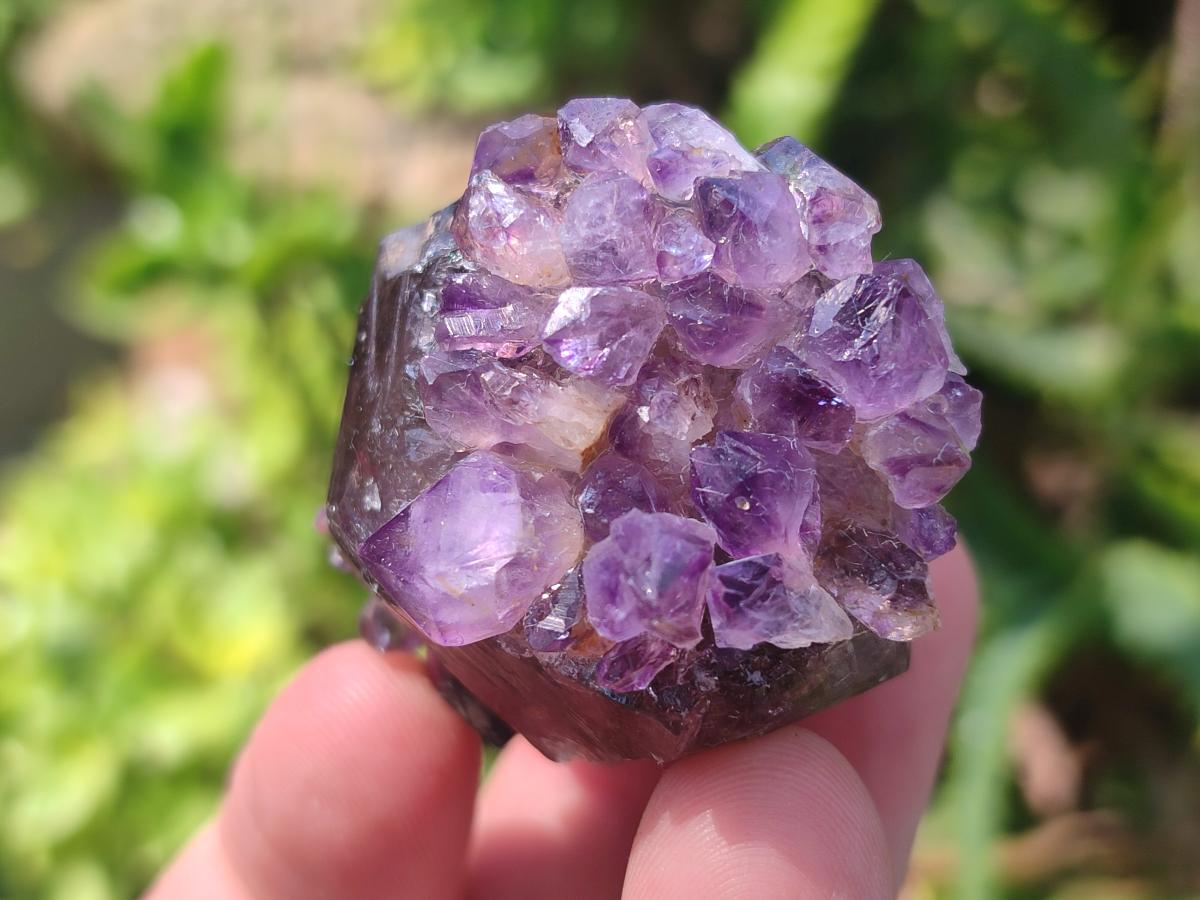 Hand Made Conglomerates Chiredzi Amethyst Crystals x 24 From South Africa - Toprock Gemstones and Minerals 