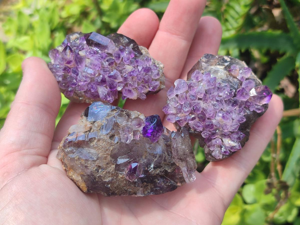 Hand Made Conglomerates Chiredzi Amethyst Crystals x 24 From South Africa - Toprock Gemstones and Minerals 