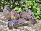 Hand Made Conglomerates Chiredzi Amethyst Crystals x 24 From South Africa - Toprock Gemstones and Minerals 
