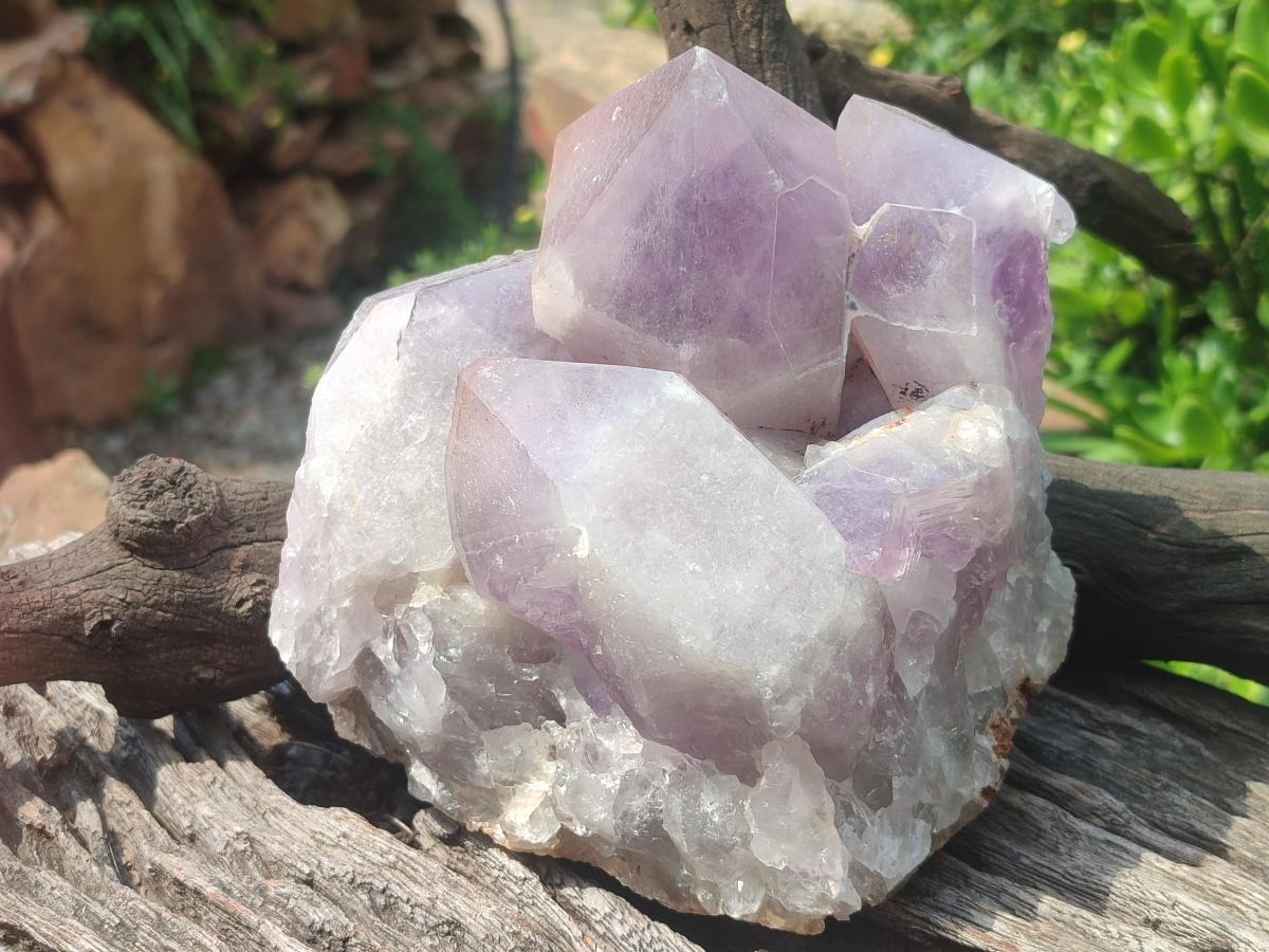 Natural Large Jacaranda Amethyst Cluster x 1 From Mumbwa, Zambia - Toprock Gemstones and Minerals 