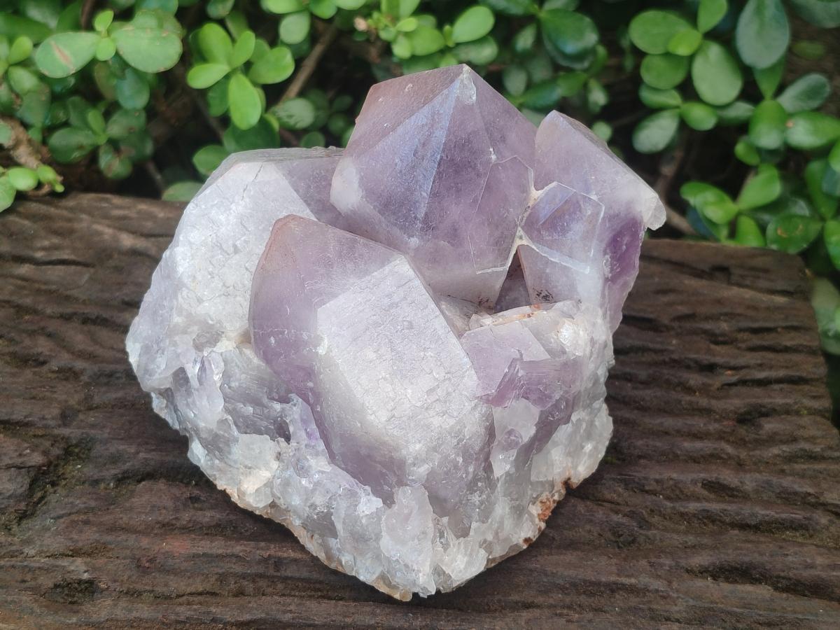 Natural Large Jacaranda Amethyst Cluster x 1 From Mumbwa, Zambia - Toprock Gemstones and Minerals 