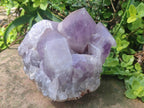 Natural Large Jacaranda Amethyst Cluster x 1 From Mumbwa, Zambia - Toprock Gemstones and Minerals 