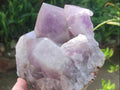 Natural Large Jacaranda Amethyst Cluster x 1 From Mumbwa, Zambia - Toprock Gemstones and Minerals 