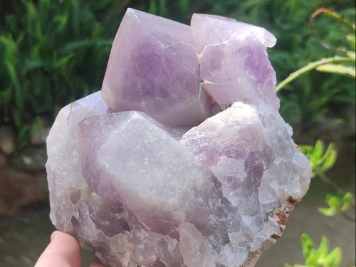 Natural Large Jacaranda Amethyst Cluster x 1 From Mumbwa, Zambia - Toprock Gemstones and Minerals 