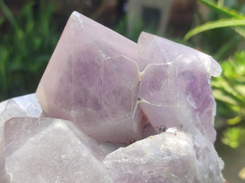 Natural Large Jacaranda Amethyst Cluster x 1 From Mumbwa, Zambia - Toprock Gemstones and Minerals 