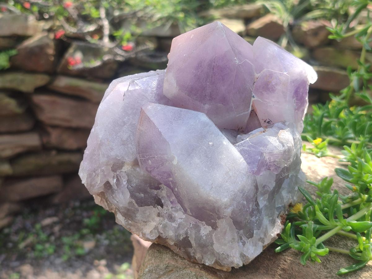 Natural Large Jacaranda Amethyst Cluster x 1 From Mumbwa, Zambia - Toprock Gemstones and Minerals 