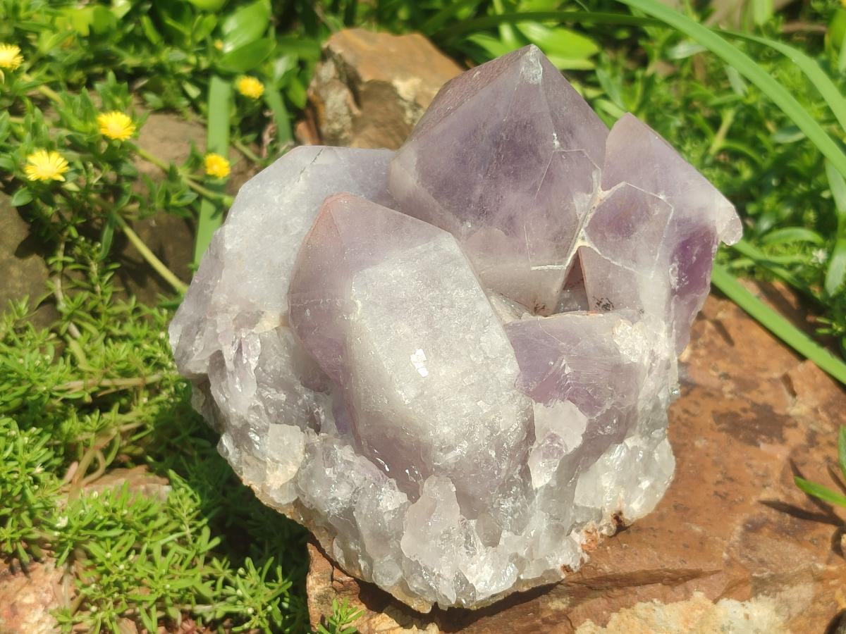 Natural Large Jacaranda Amethyst Cluster x 1 From Mumbwa, Zambia - Toprock Gemstones and Minerals 