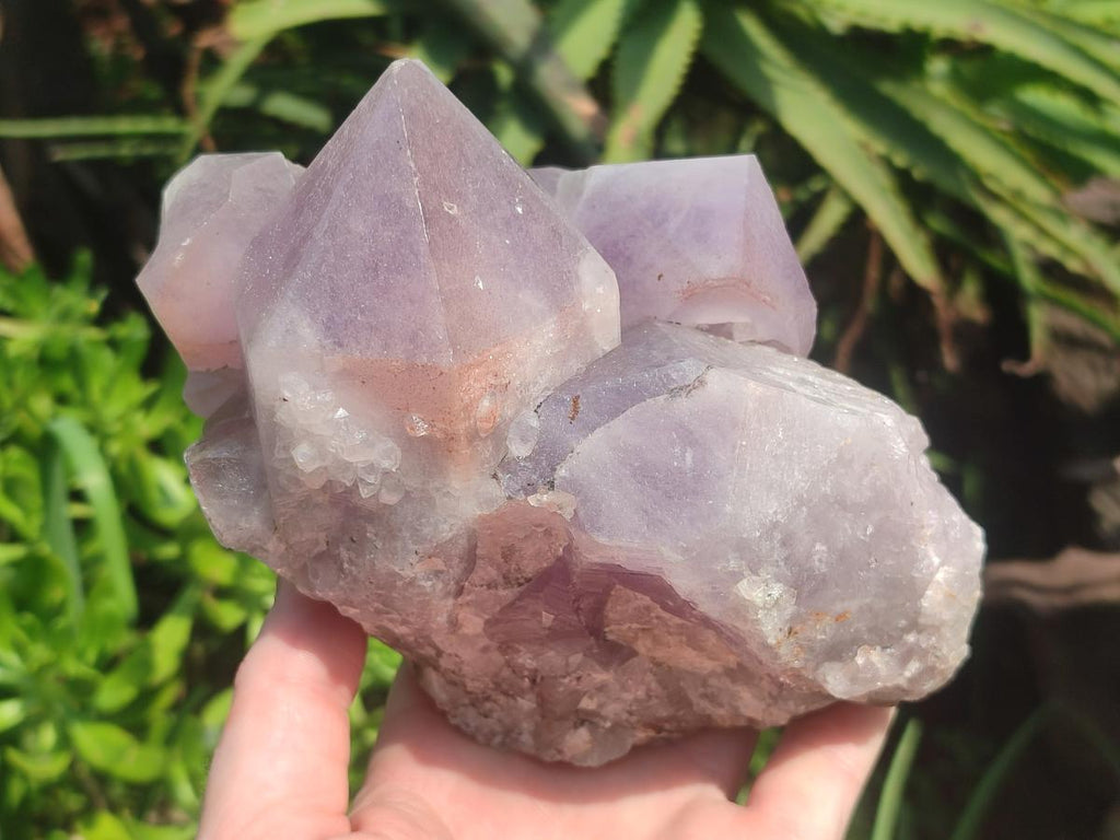 Natural Large Jacaranda Amethyst Cluster x 1 From Mumbwa, Zambia - Toprock Gemstones and Minerals 