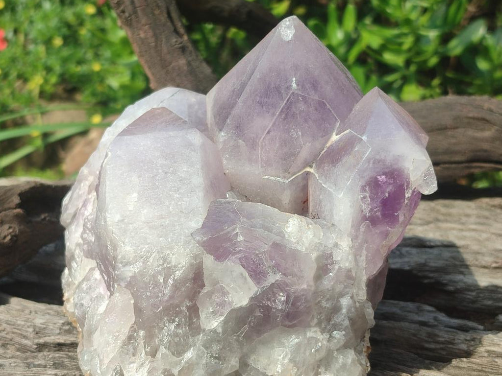 Natural Large Jacaranda Amethyst Cluster x 1 From Mumbwa, Zambia - Toprock Gemstones and Minerals 