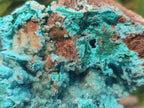 Natural Drusy Coated Chrysocolla with Malachite Specimens x 4 From Lupoto Mine, Congo - Toprock Gemstones and Minerals 
