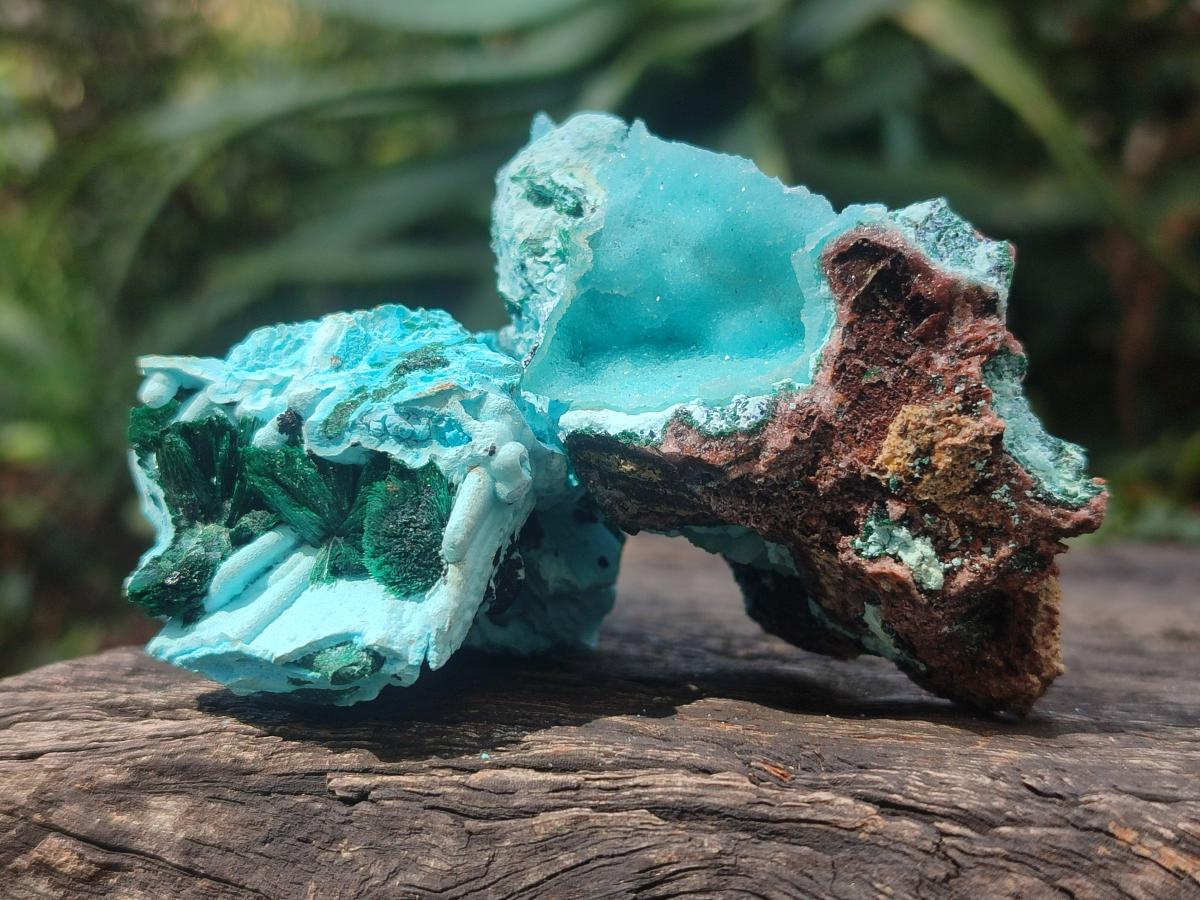 Natural Drusy Coated Chrysocolla with Malachite Specimens x 4 From Lupoto Mine, Congo - Toprock Gemstones and Minerals 
