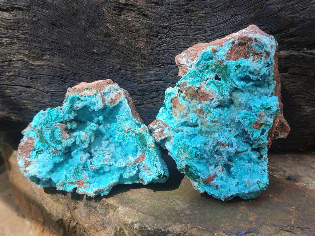 Natural Drusy Coated Chrysocolla with Malachite Specimens x 4 From Lupoto Mine, Congo - Toprock Gemstones and Minerals 