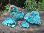 Natural Drusy Coated Chrysocolla with Malachite Specimens x 4 From Lupoto Mine, Congo - Toprock Gemstones and Minerals 