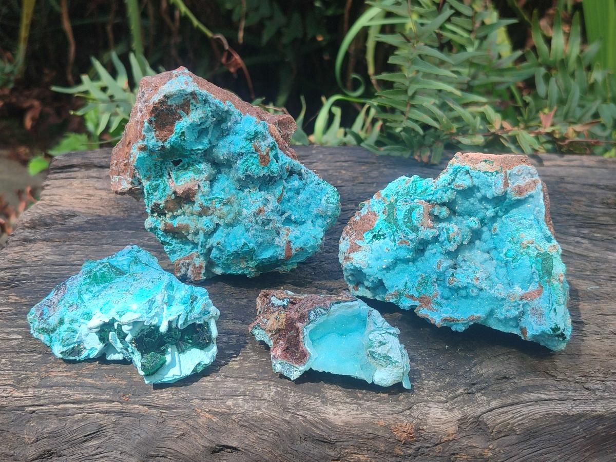 Natural Drusy Coated Chrysocolla with Malachite Specimens x 4 From Lupoto Mine, Congo - Toprock Gemstones and Minerals 