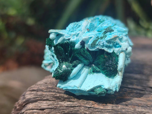 Natural Drusy Coated Chrysocolla with Malachite Specimens x 4 From Lupoto Mine, Congo - Toprock Gemstones and Minerals 