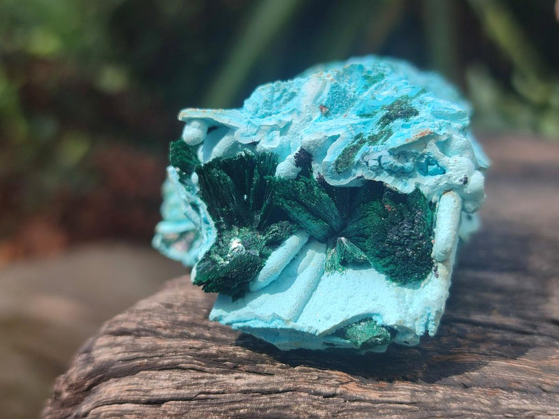 Natural Drusy Coated Chrysocolla with Malachite Specimens x 4 From Lupoto Mine, Congo - Toprock Gemstones and Minerals 