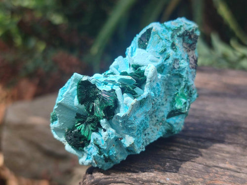 Natural Drusy Coated Chrysocolla with Malachite Specimens x 4 From Lupoto Mine, Congo - Toprock Gemstones and Minerals 