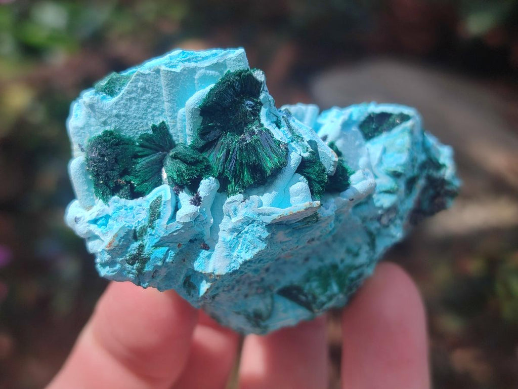 Natural Drusy Coated Chrysocolla with Malachite Specimens x 4 From Lupoto Mine, Congo - Toprock Gemstones and Minerals 
