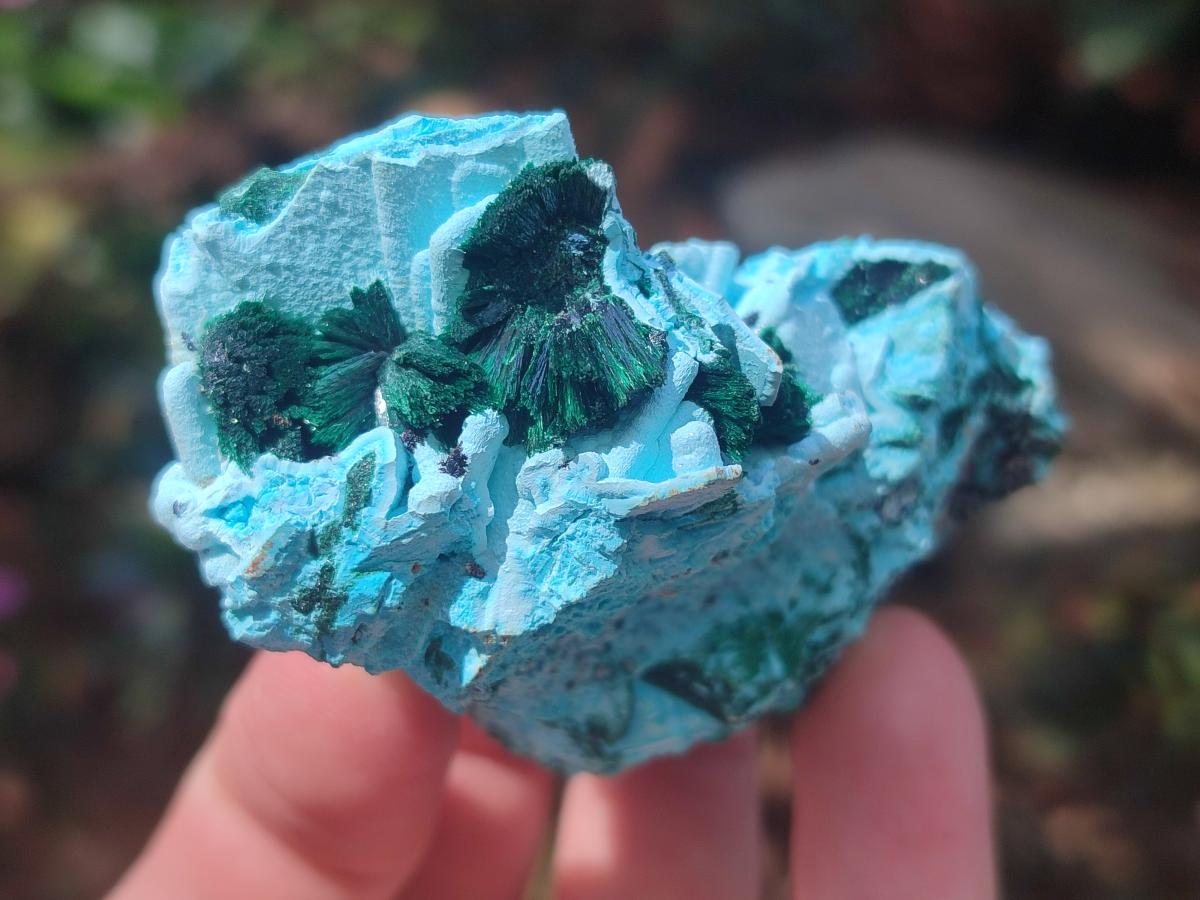 Natural Drusy Coated Chrysocolla with Malachite Specimens x 4 From Lupoto Mine, Congo - Toprock Gemstones and Minerals 