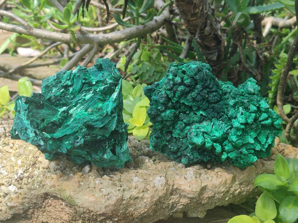 Natural Silky Malachite Specimens x 2 From Kasompe, Congo - Toprock Gemstones and Minerals 