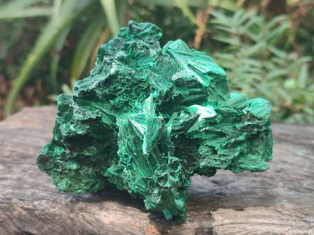 Natural Silky Malachite Specimens x 2 From Kasompe, Congo - Toprock Gemstones and Minerals 