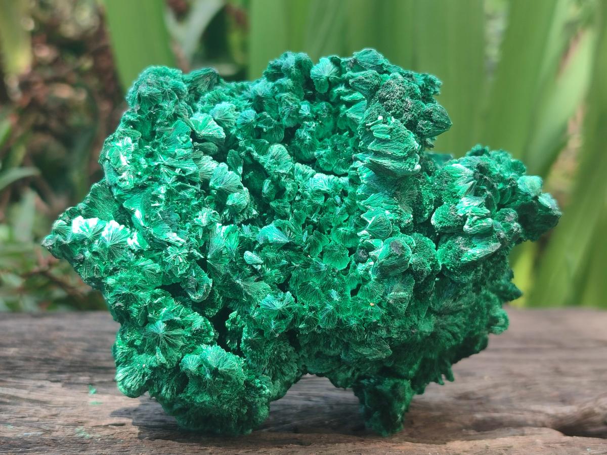 Natural Silky Malachite Specimens x 2 From Kasompe, Congo - Toprock Gemstones and Minerals 