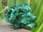 Natural Silky Malachite Specimens x 2 From Kasompe, Congo - Toprock Gemstones and Minerals 