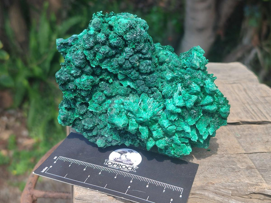 Natural Silky Malachite Specimens x 2 From Kasompe, Congo - Toprock Gemstones and Minerals 