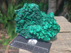 Natural Silky Malachite Specimens x 2 From Kasompe, Congo - Toprock Gemstones and Minerals 