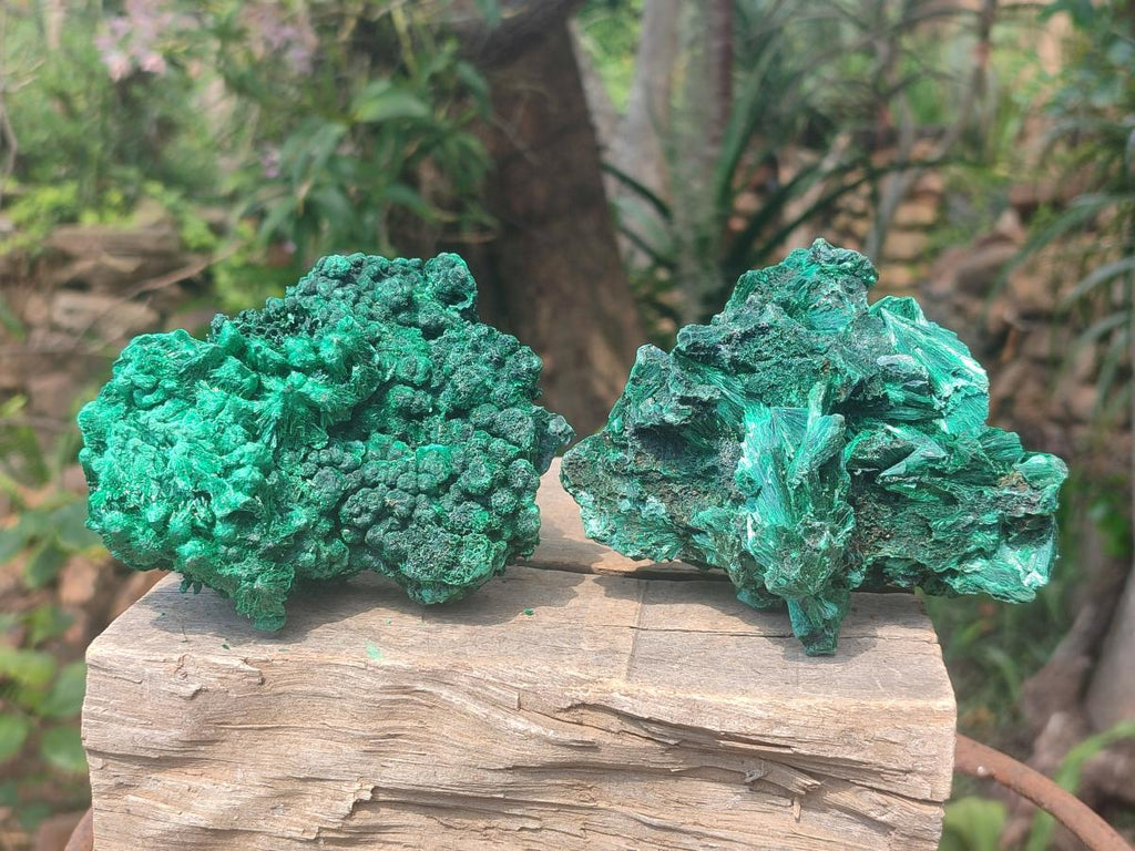 Natural Silky Malachite Specimens x 2 From Kasompe, Congo - Toprock Gemstones and Minerals 