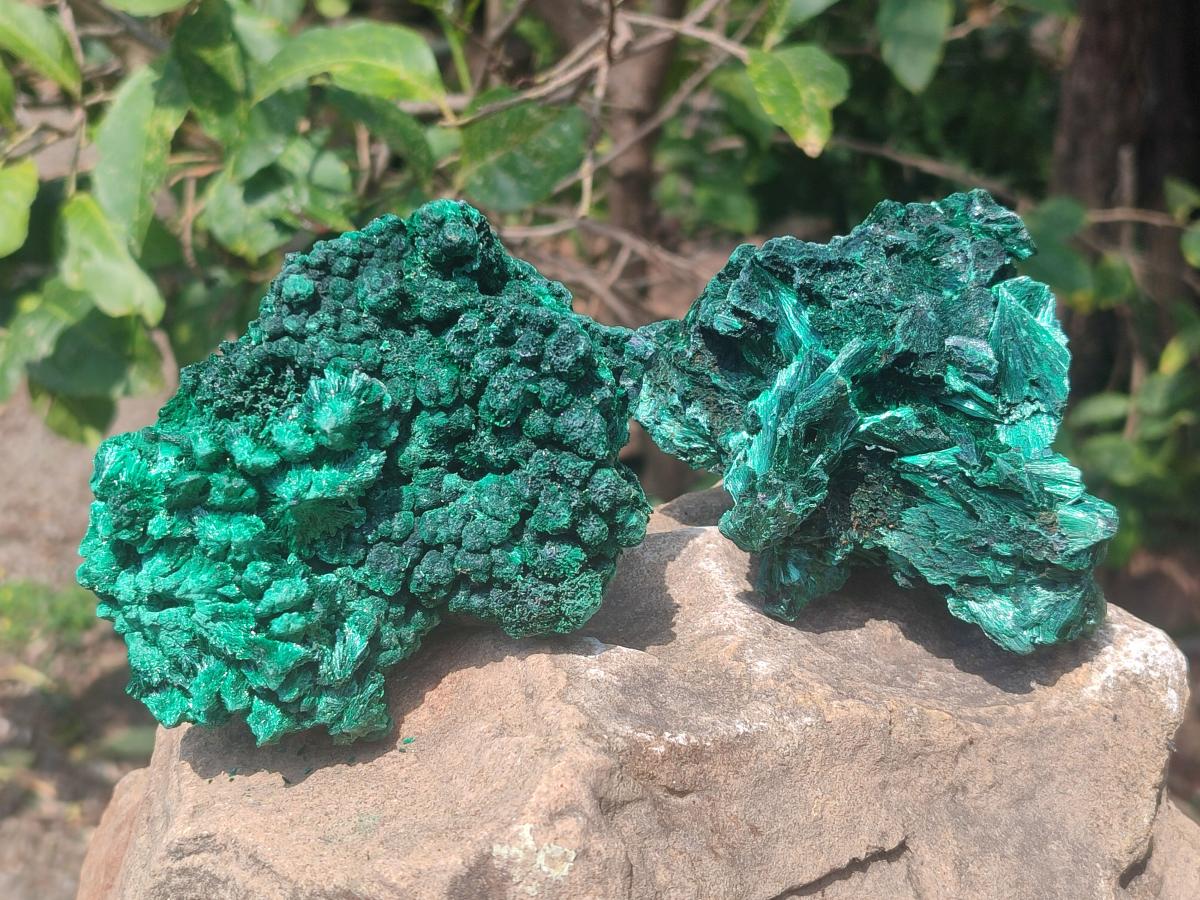 Natural Silky Malachite Specimens x 2 From Kasompe, Congo - Toprock Gemstones and Minerals 